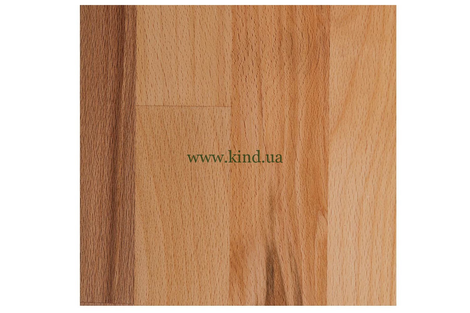 структура дерева бука от КИНД