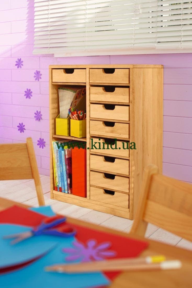 organayzer_v_interere