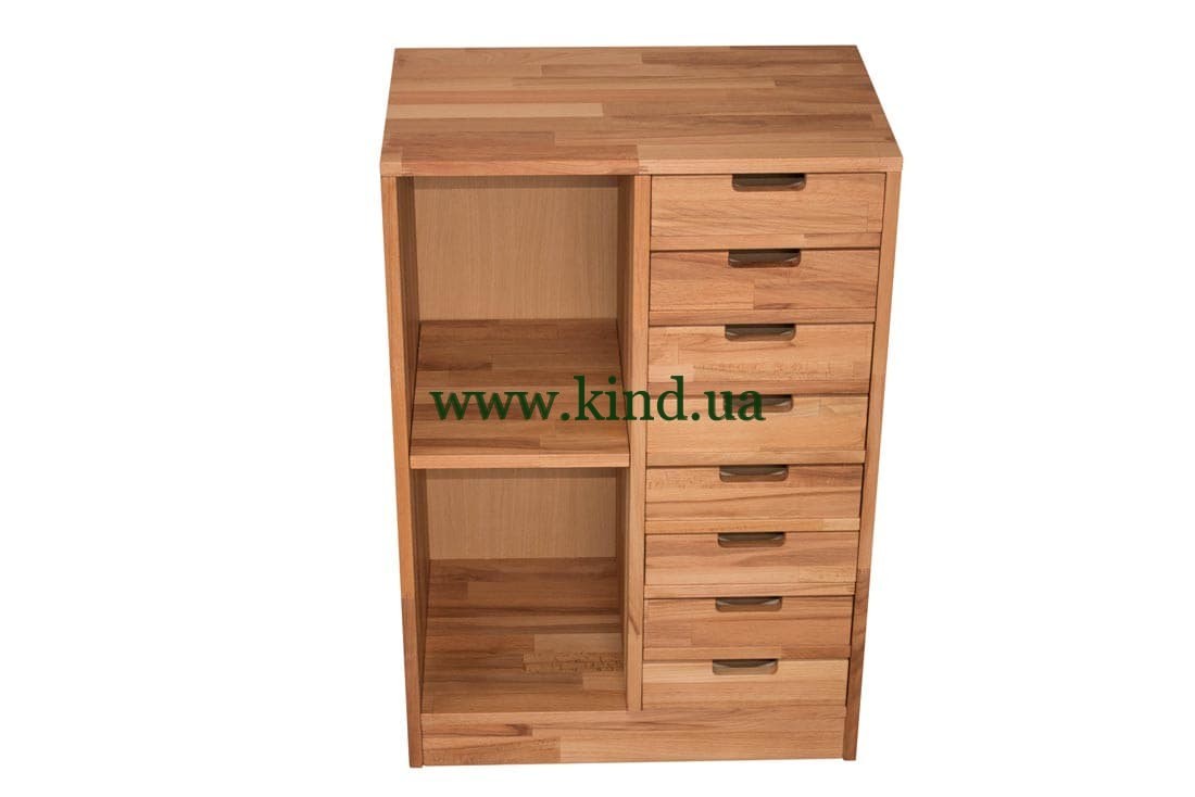 shkafchik_organayzer